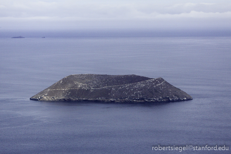 galapagos